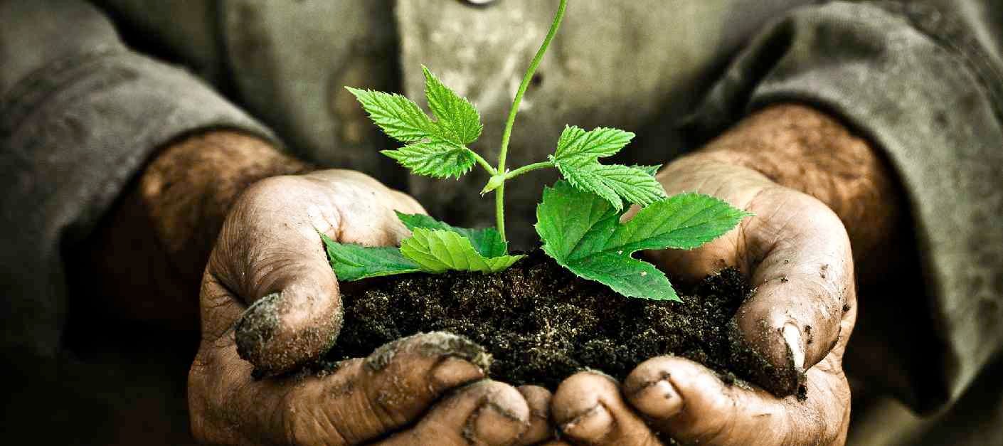 Disequilibrium In Discipleship Pt.1
