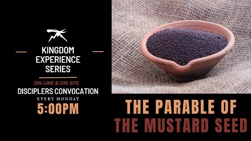 Kingdom Experience Part. 4: The Parable of the Mustard Seed
