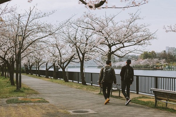 The Purpose of Discipleship