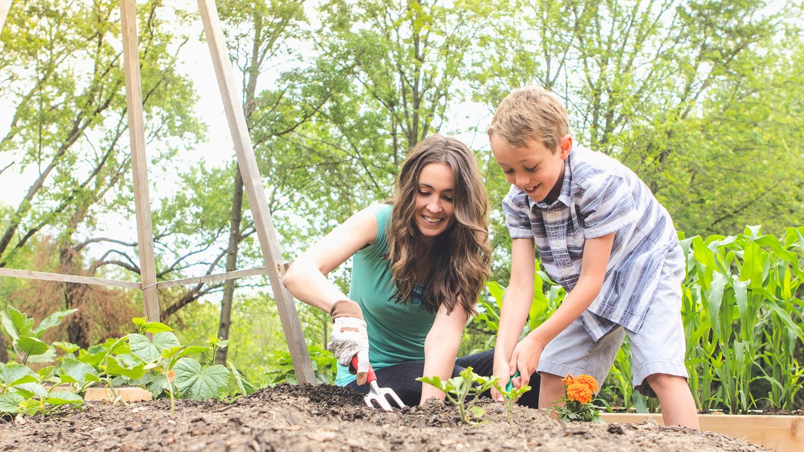 Cultivate Your Personal Garden: Strategies for Excelling In Discipleship