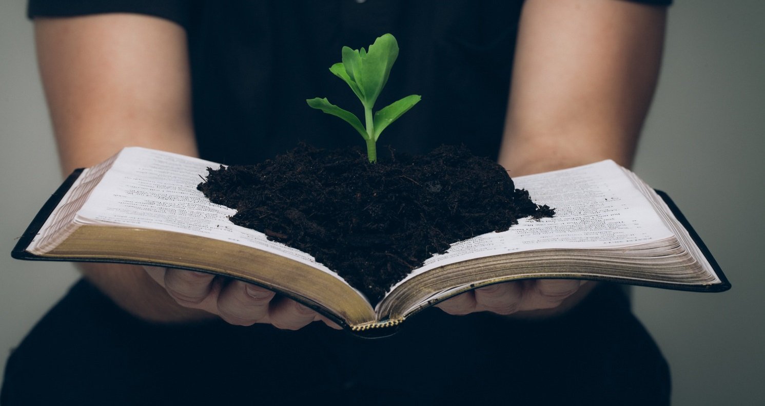 Hireling Discipleship