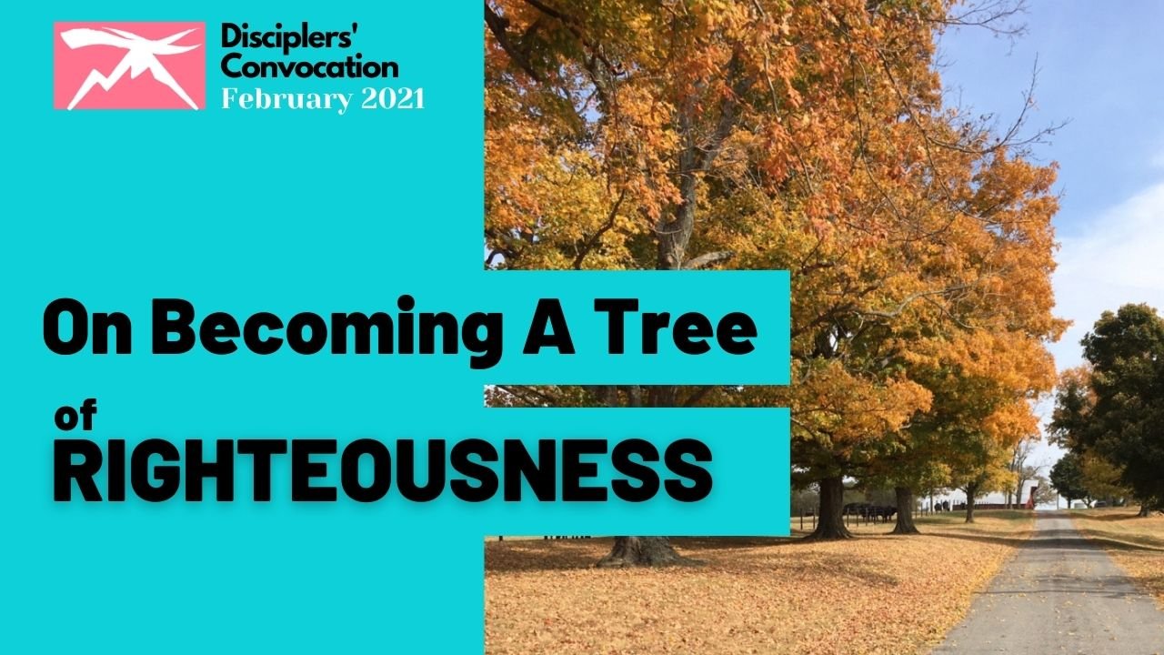 On Becoming A Tree of Righteousness