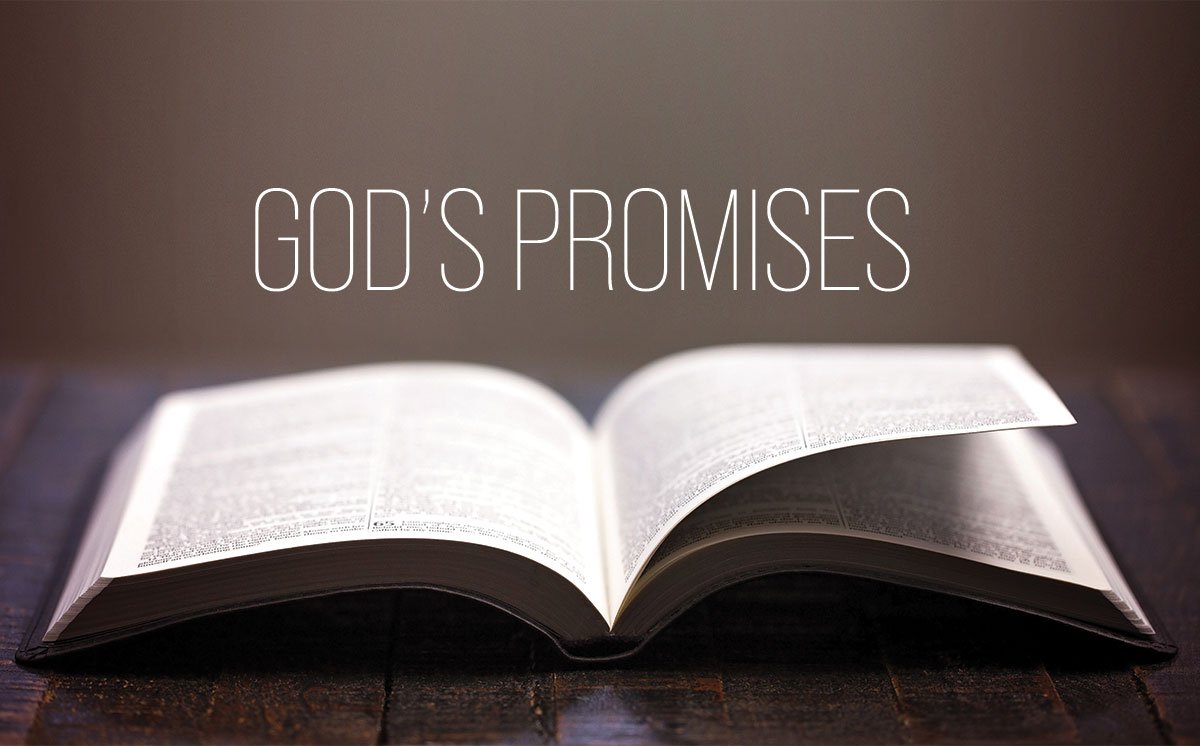 Receiving And Walking In The Light of The Promises of God