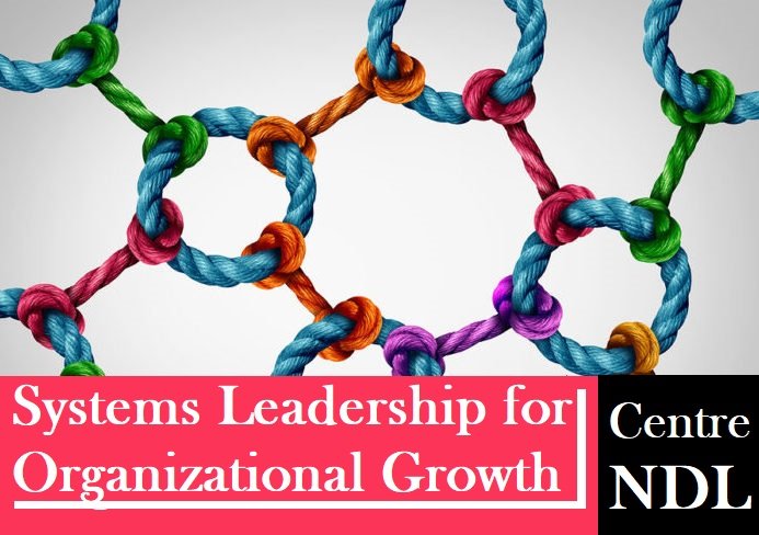 Systems LEADERSHIP for Sustainable Organizational GROWTH