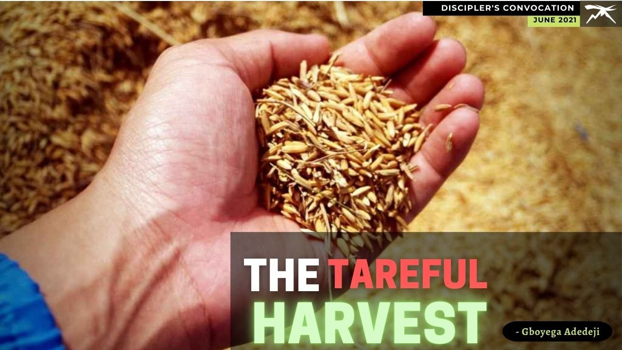 The TAREFUL Harvest